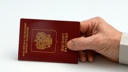 Посол Нечаев: Россия отказывается играть в визовые ограничения и дискриминацию