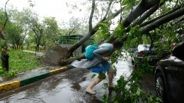 В Курске разбирают завалы после прошедшего накануне урагана