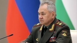 Прямая трансляция интервью министра обороны РФ Сергея Шойгу