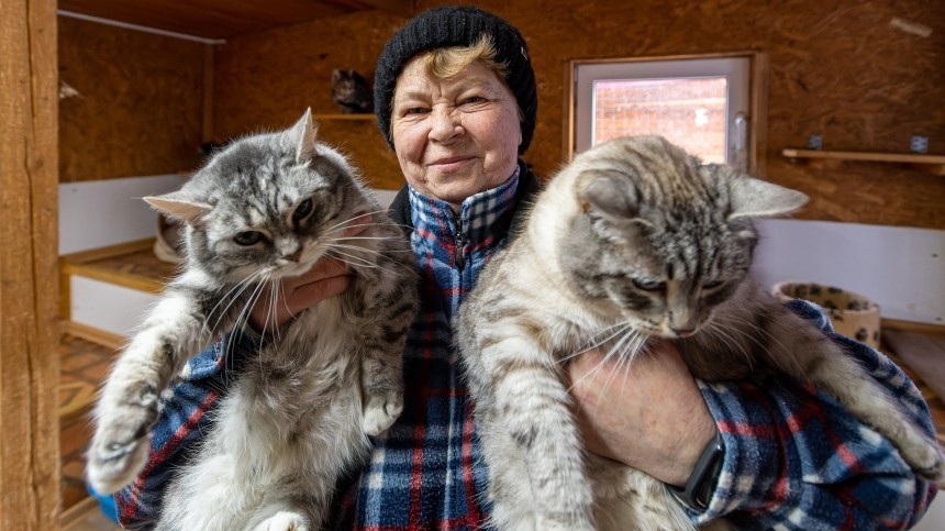 Мяу! Ветеринар объяснила желание пенсионеров завести много кошек