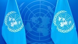 Политолог о попытке вывода России из Совета безопасности: «ООН развалится»