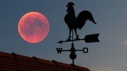 Лунный свет может вызвать диабет? Астролог рассказала о влиянии Луны на людей