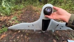 Сбит координировавший кровавый обстрел Донецка дрон «Фурия»