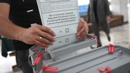Референдумы по вхождению ЛНР и ДНР в состав России признаны состоявшимся