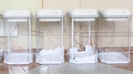 Шесть снарядов ВСУ попали в избирательный участок в Рубежном