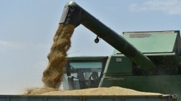 Путин: в России могут собрать рекордный урожай зерна в 150 миллионов тонн