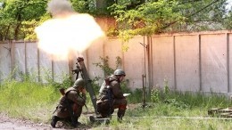Бойцы ВДВ зажали в лесополосе и уничтожили отряд украинских националистов
