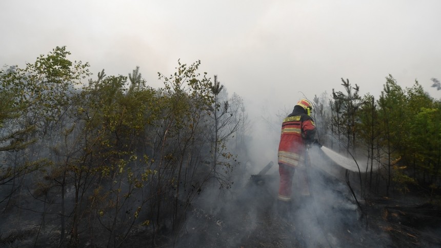 Горящие торфяники окутали смогом Свердловскую область