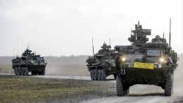 До поры до времени: зачем Эстония и Германия бряцают оружием возле границ России