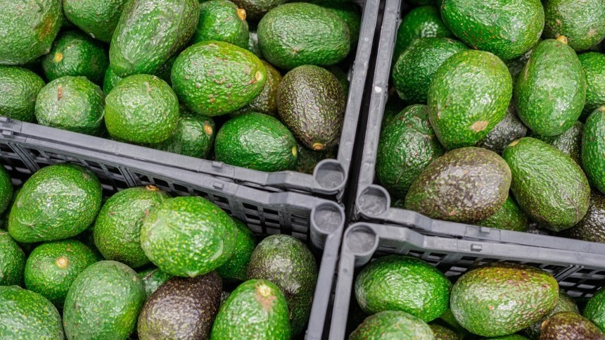 Авокадовый ликбез: как правильно выбирать и готовить авокадо