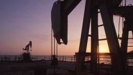 Удар по США: страны ОПЕК+ планируют сократить добычу нефти