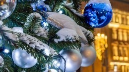 Минобороны РФ оценило инициативу отменить новогодние праздники в регионах