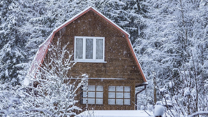 Небесное удобрение: что делать со снегом на пользу кустам и деревьям
