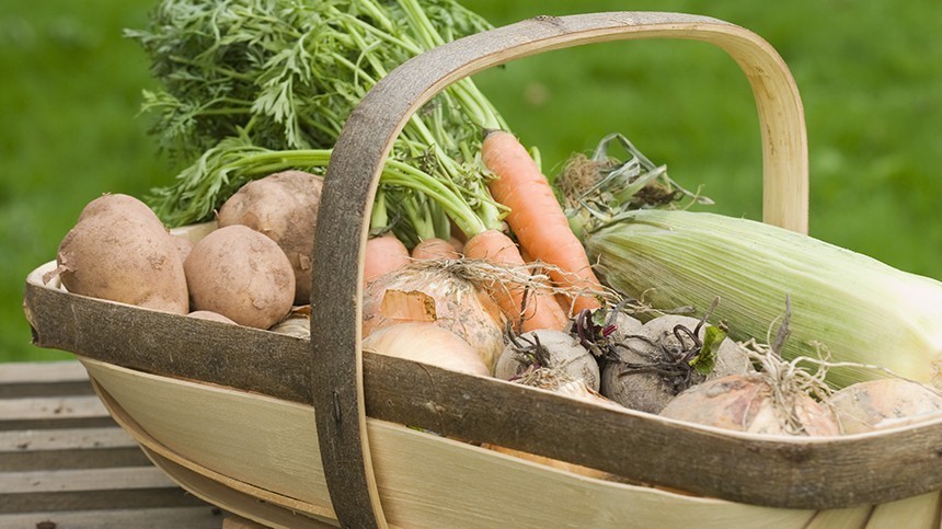 Как с грядки: как хранить овощи до весны без погреба — видео