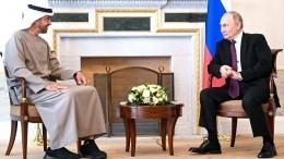 Глава ОАЭ проинформировал Путина о позиции Украины по некоторым вопросам