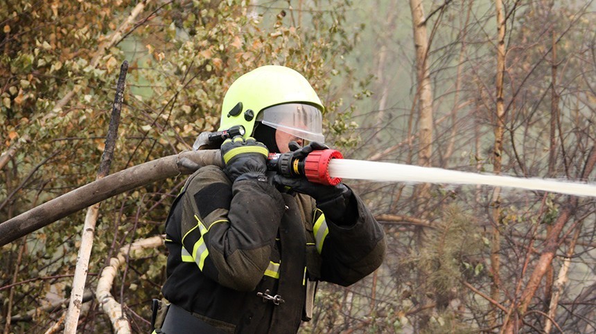 Мощный пожар охватил 150 гектаров леса под Красноярском из-за хулигана