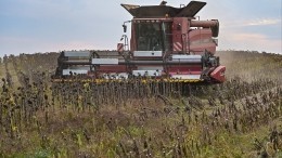 «Такого мы не видели много лет»: фермеры в США превращаются в нищих