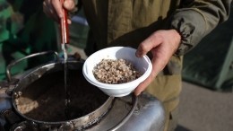 Фермер под Луганском кормил российских солдат страусиными яйцами