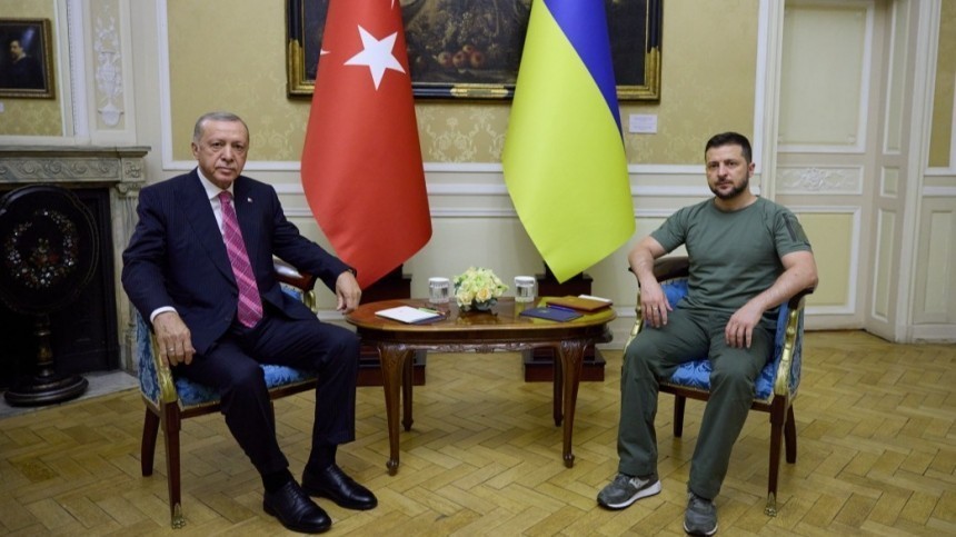 Эрдоган призвал Зеленского к дипломатическому решению конфликта на Украине