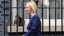Лиз Трасс проиграла салату — британцы хотят сделать премьером кота