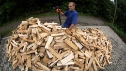 Рванувшие вверх цены на дрова довели европейцев до воровства древесины