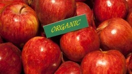 С полок российских магазинов исчезнут продукты с маркировкой «органик»