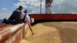 Россия приостанавливает реализацию соглашений по «зерновому коридору»