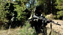 Боевая работа гаубиц «Мста-С» и войск связи: лучшее видео за день из зоны СВО