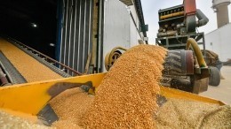 Лавров: вторая часть пакета соглашений по зерновой сделке не выполнена