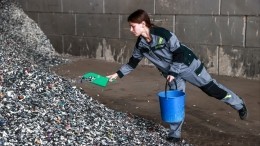 Путин поручил представить предложения по созданию молодежного экодвижения в РФ