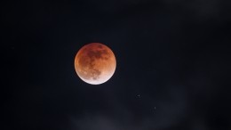 Каким знакам зодиака принесет беду лунное затмение 8 ноября 2022 года