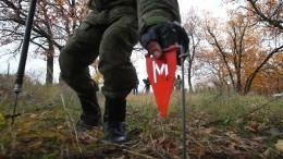 Саперы Росгвардии расчищают Артемовск от мин и снарядов ВСУ