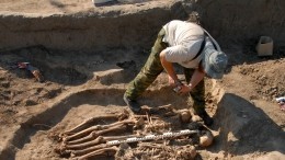 «Заклинание от вшей»: ученые расшифровали таинственное послание на древнем гребне