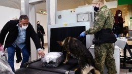 Впервые аэропорты Москвы и Петербурга ввели режим повышенной угрозы терактов