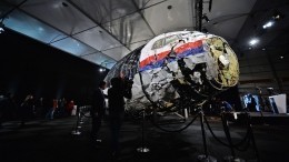 «Полный маразм»: решение Гааги по МН17 является заговором против РФ