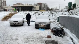 Жертва мимолетной связи: кто мог убить девушку у метро «Зюзино» в Москве