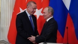 Путин и Эрдоган обсудили создание в Турции крупного газового хаба