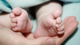 Один случай на 200 миллионов: петербурженка родила трех идентичных близнецов