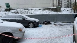 Подруга убитой на юго-западе Москвы о ее частых свиданиях: «Всегда были ухажеры»