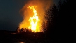 Пламя в темноте: из-за чего загорелся газопровод в Ленобласти