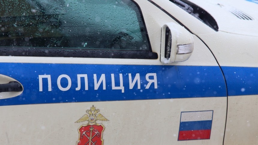 Президент Севзапинвестпромбанка насмерть сбил пенсионера в Подмосковье