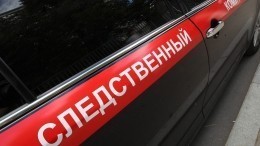 Мертвую женщину с обезображенным лицом нашли у дороги в Петербурге — фото (18+)