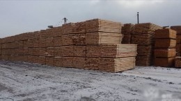 Житель Красноярского края попался на контрабанде леса в КНР на 1,3 млрд рублей