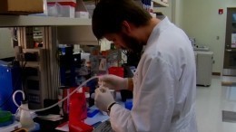 ОДКБ создаст комиссию по биобезопасности для проверки лабораторий США