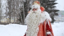 Активисты в Берлине попытались сорвать встречу с Дедом Морозом и Снегурочкой