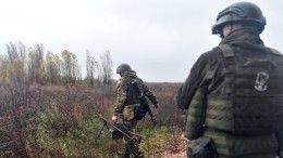 Военкор «Известий» показал обстановку на запорожском направлении в зоне СВО РФ