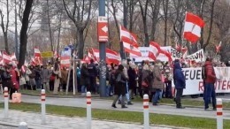 Италию и Австрию охватили протесты