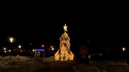 Жители Челябинска раскритиковали главную городскую елку из алюминия за 2 миллиона