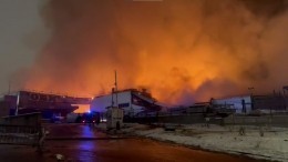 Площадь пожара в «Мега Химки» увеличилась до 17 тысяч квадратных метров