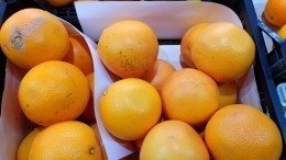 Более 20 тонн апельсинов вернули из Петербурга в ЮАР из-за опасных личинок
